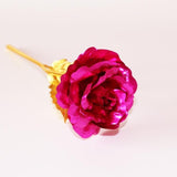 Dried Flowers 24K Foil Plated Rose Gold Rose Wedding Decoration Flower Valentine's Day Gift Lover's Rose Artificial Only